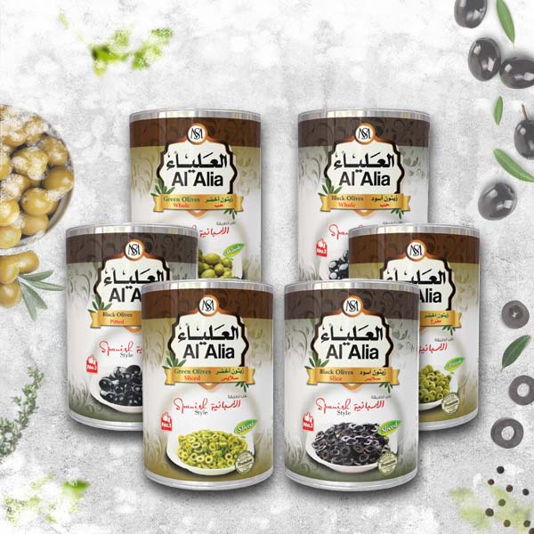 SPANISH STYLE OLIVES